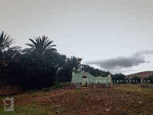 Hawita du saint marabout Sidi Boughrara