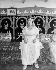 الحايطي الجزائري