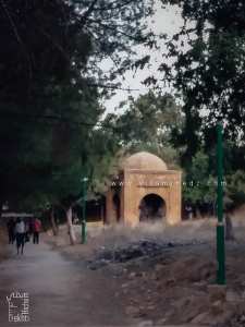 Qobbas inconnues au cimetière d'el Eubbad Essafli