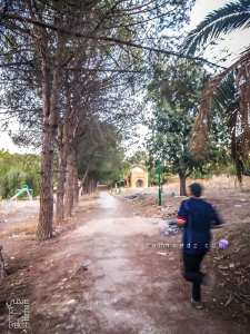 Cimetière d'El Obbad Essafli avec ses Qobbas