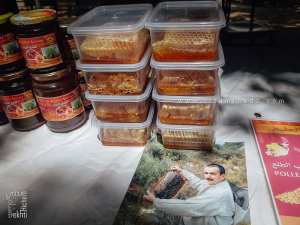 Miel du jujubier sauvage, un trésor de bienfaits – Expo vente de Miel, Place d’Alger, Tlemcen