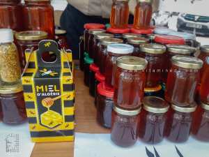 عسل السدر البري، إكسير الصحة والعافية – المعرض والبيع للعسل، ساحة الجزائر، تلمسان