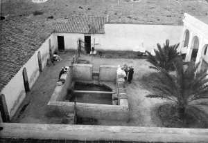 Fontaina chaude, Biskra, Algeriet Foto Paul Rosenius(?)