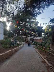 L’auberge de jeunesse de la forêt du Petit Perdreau à Tlemcen : un havre de paix