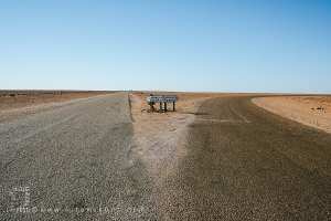 مفترق الصحراء... إلى أين؟