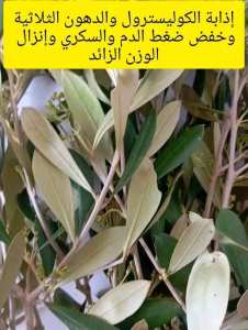 دواء يديب الدهون و الكوليسترول ويخفض ضغط الدم والسكري ويحمي القلب والشرايين من التصلب