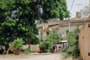 Sous l’ombre du temps – Maison coloniale habitée et arbre centenaire à Mostaganem