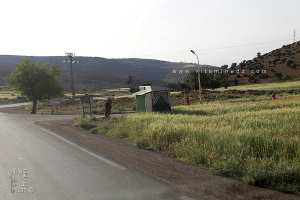 Arrêt de bus au milieu des blés – Village Ouled Bounouar, Terni Beni Hediel (Wilaya de Tlemcen)