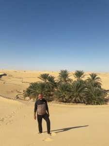 غابات النخيل