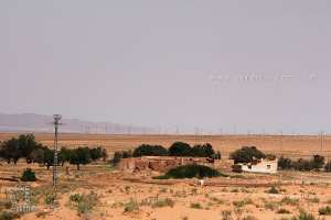 منبع ماء عڨلة السندان: حياة وتراث في قلب الصحراء السهبية