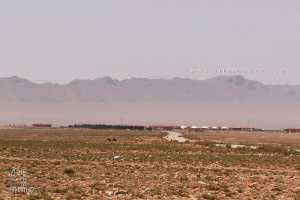 La Réserve Naturelle de Naâma : Sanctuaire pour la faune et la conservation de l’outarde houbara