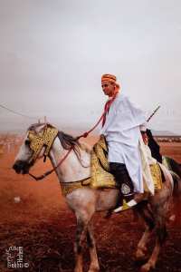 Un cavalier élégant à la Waada d’El Mdadha