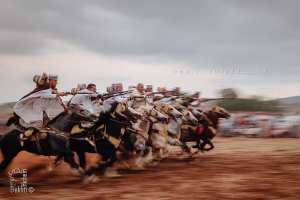 Fantasia : La splendeur des cavaliers et de leurs montures en pleine course