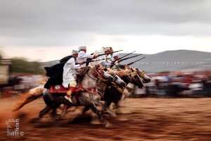 الفانتازيا: جمال الفرسان وجيادهم في سباق حماسي