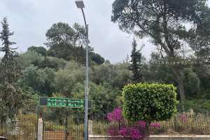 غابة بارادو في حيدرة