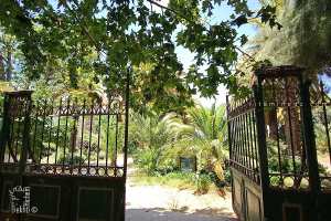 Jardin du Grand Bassin (Sahridj M’Beda) : Un trésor historique à l'abandon