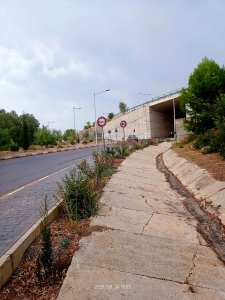 Algérie (Constantine) - Djenane Dardar/Végétalisation urbaine: Bande de laurier rose en alternance avec le troêne haie