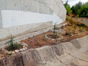 Algérie (Constantine)  - Végétalisation urbaine: Espace mitoyen à Djenane Dardar