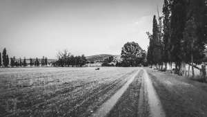 Source et mémoire rurale à Ain Zoudj Abid ou Baouzine – Commune de Sidi Abdelli, Wilaya de Tlemcen