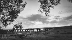 Source et mémoire rurale à Ain Zoudj Abid ou Baouzine – Commune de Sidi Abdelli, Wilaya de Tlemcen
