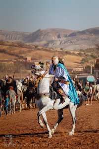 فارس الفانتازيا – علفة الحاج بغداد، صامور