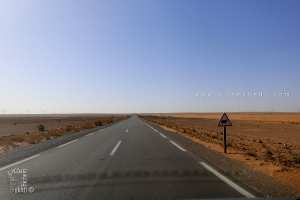 Route Redjem Demouche – El Biod : 115 km de Bitume au Cœur d’une Steppe Pastorale Aride