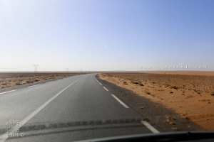 طريق رجم دموش – البيوض: 115 كم من الإسفلت في قلب السهوب الرعوية الجافة