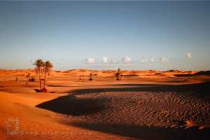 Paysages du Grand Erg occidental