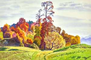 Peintre Plinio Colombi