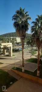 Hôtel Renaissance – Tlemcen : Élégance et Confort au Cœur de la Ville