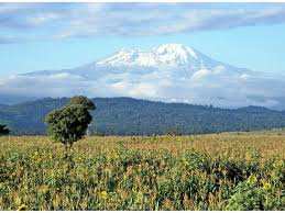 Planète (Afrique) - Au Kilimandjaro, la pression humaine responsable d’un siècle de déclin écologique