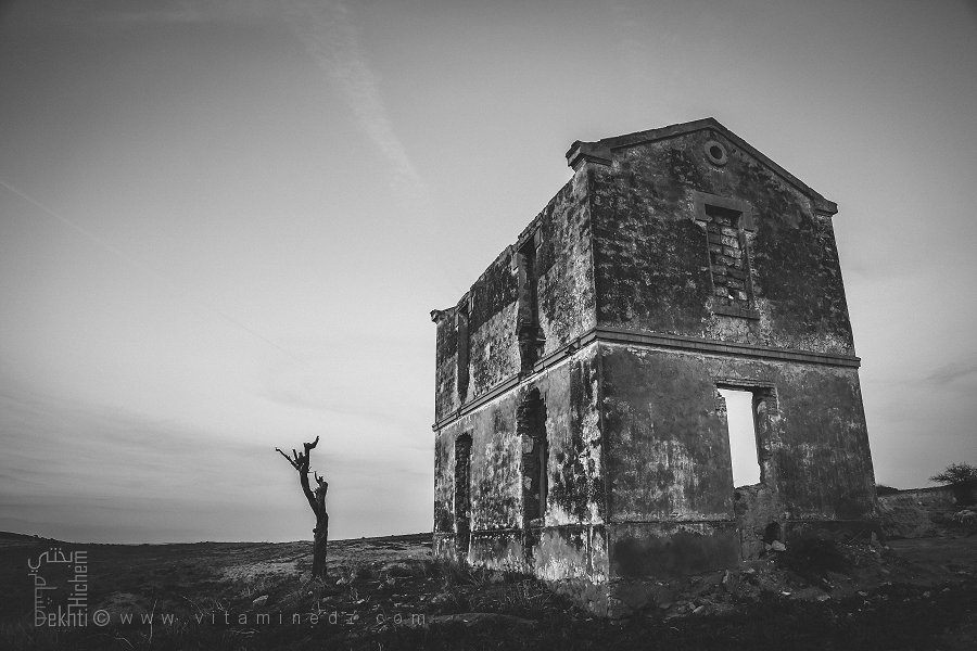 Ancienne Gare Abandonnée près de Tlemcen - Ain El Hadjar (Mars 2016)