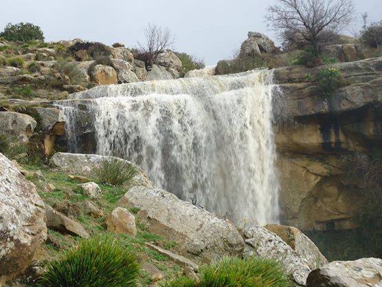 شلال بوسلمون