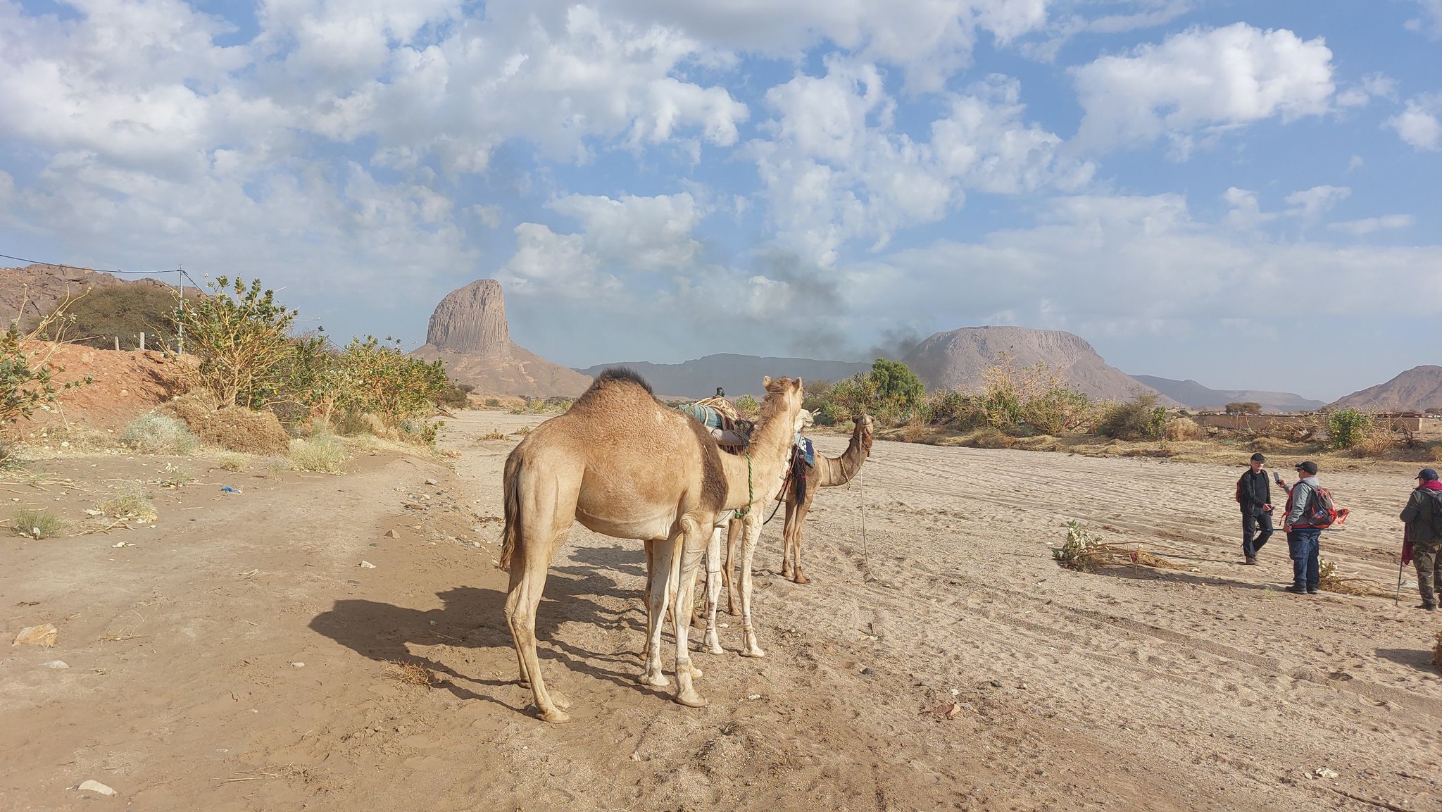 1ere étape du trek du Ahagar 125 km