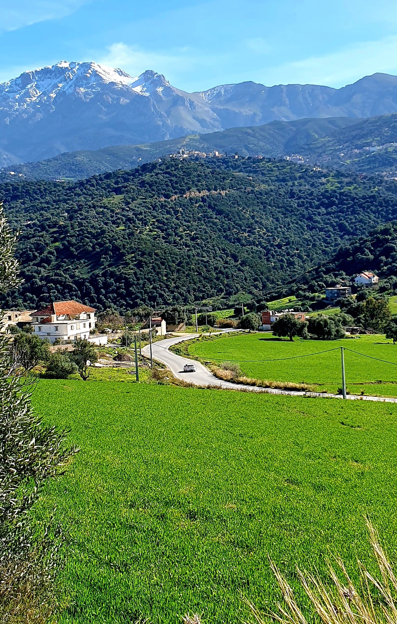 la descente de Tizi n'chrea