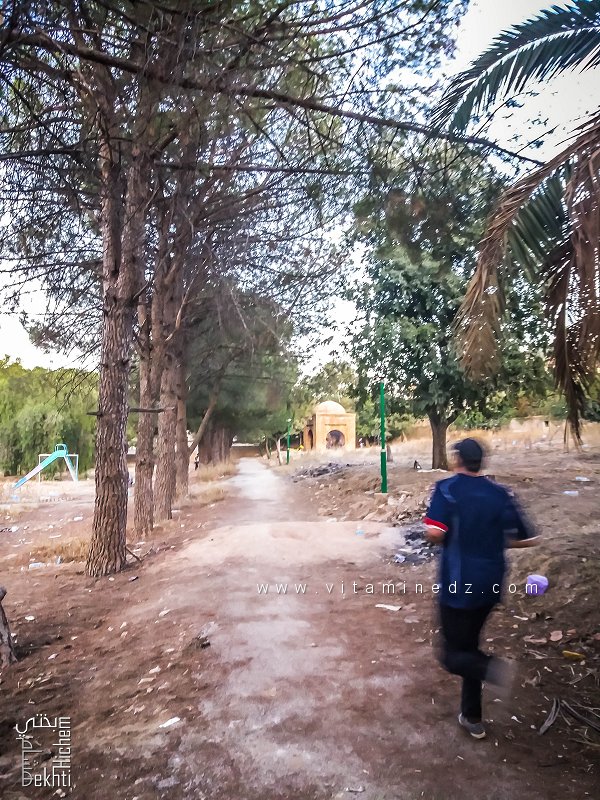 مقبرة العُبّاد السفلي بقبابها