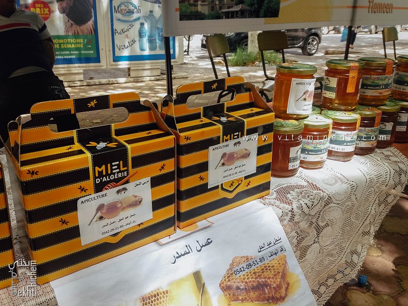 Miel du jujubier sauvage, élixir de bien-être – Expo vente de Miel, Place d’Alger, Tlemcen