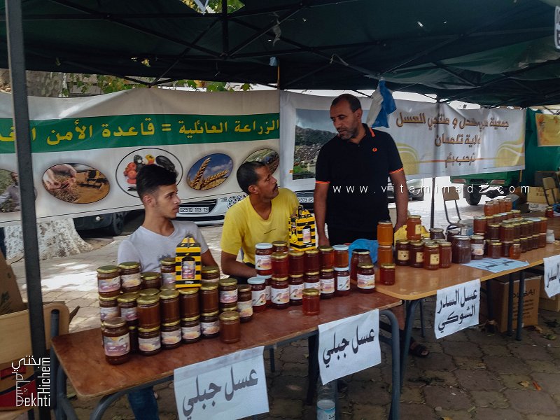 Miel de montagnes, un élixir brut aux mille vertus – Expo vente de Miel, Place d’Alger, Tlemcen
