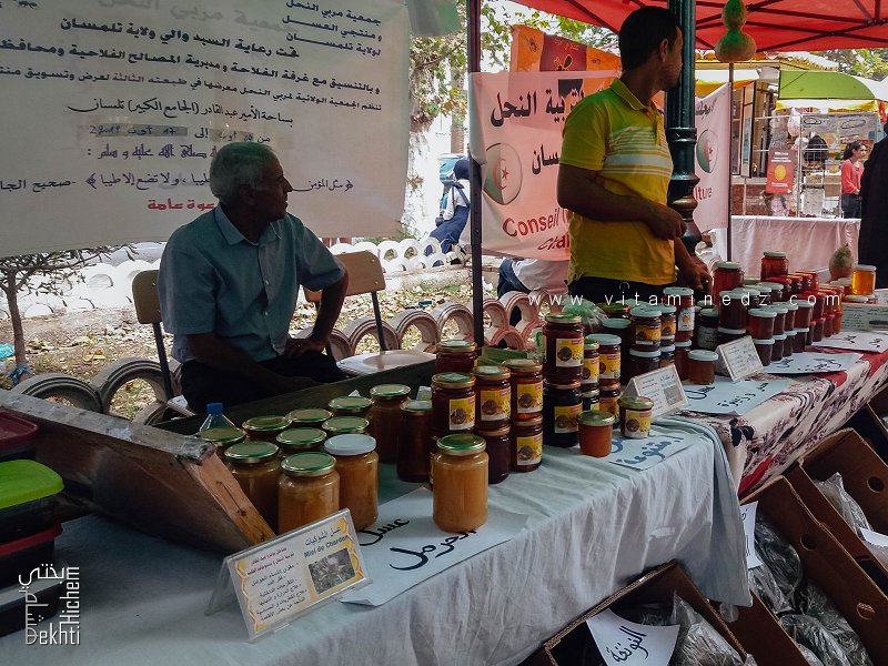 Miel de chardon, un nectar précieux aux multiples vertus – Expo vente de Miel, Place d’Alger, Tlemcen