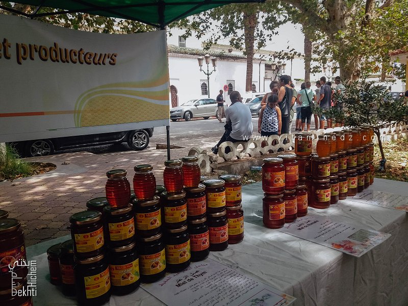 عسل الزعتر، كنز بفوائد علاجية مذهلة – المعرض والبيع للعسل، ساحة الجزائر، تلمسان