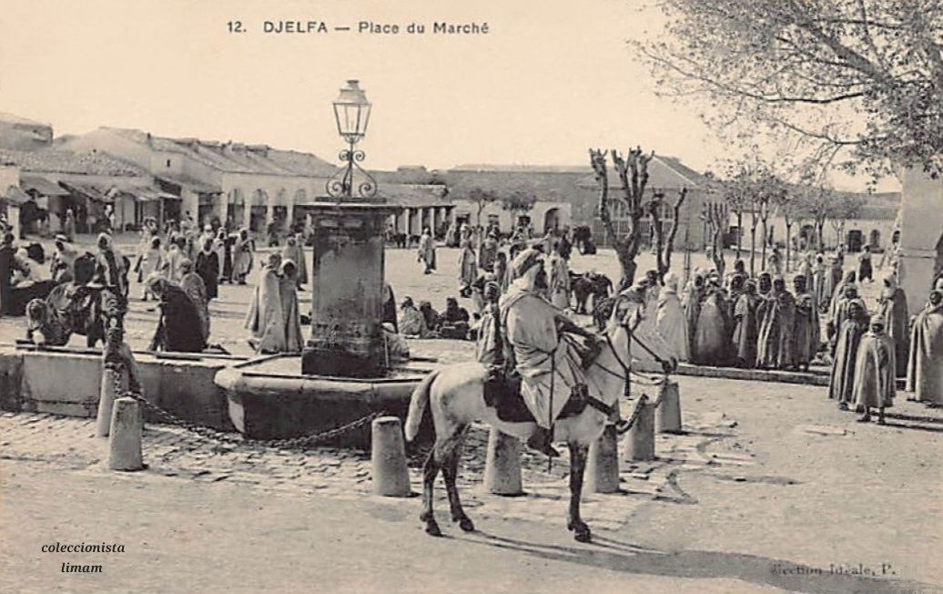 La Place du Marché de Djelfa : Un Témoin Vivant de l’Histoire et de la Mémoire Collective