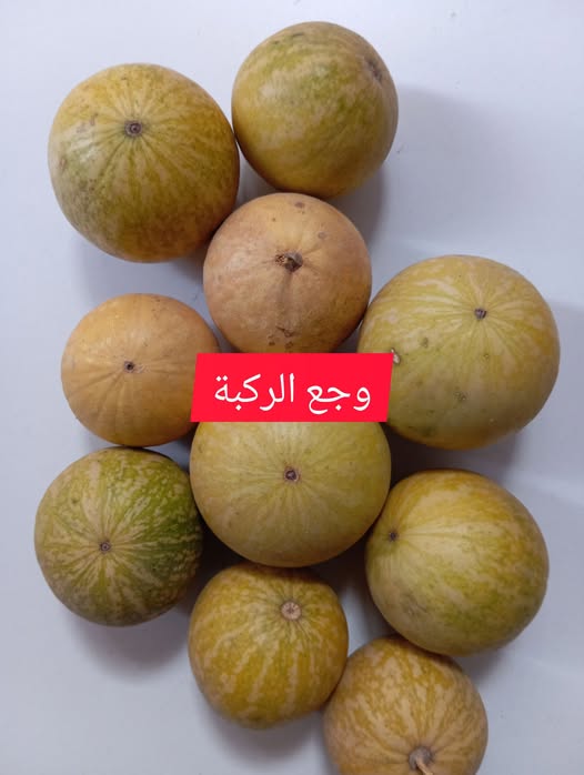 الحنظل (المعروف علميًا بـ Citrullus colocynthis)