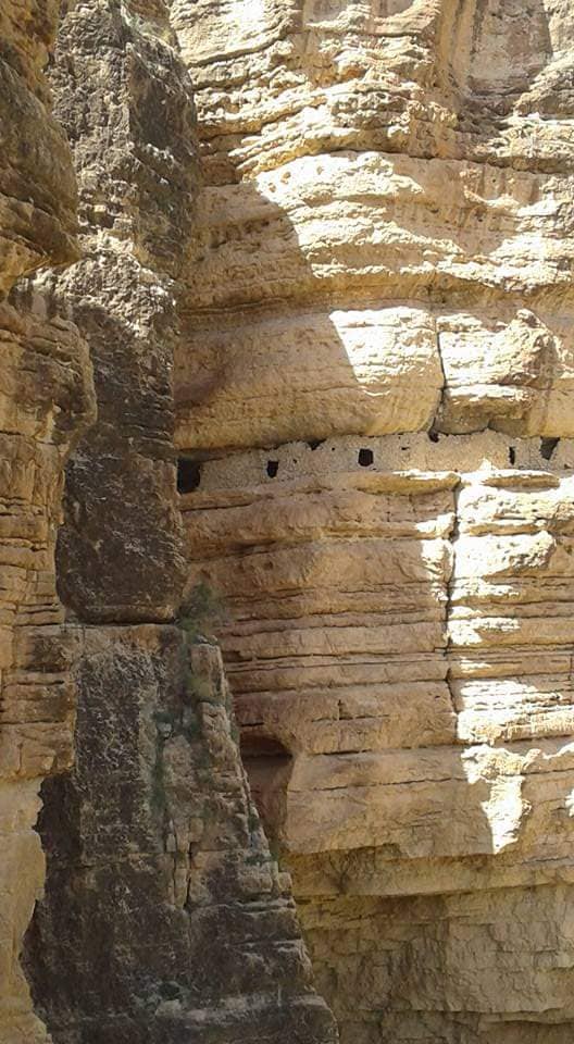 Habitat Troglodyte du village de Tadjemout (Chechar, Khenchela)