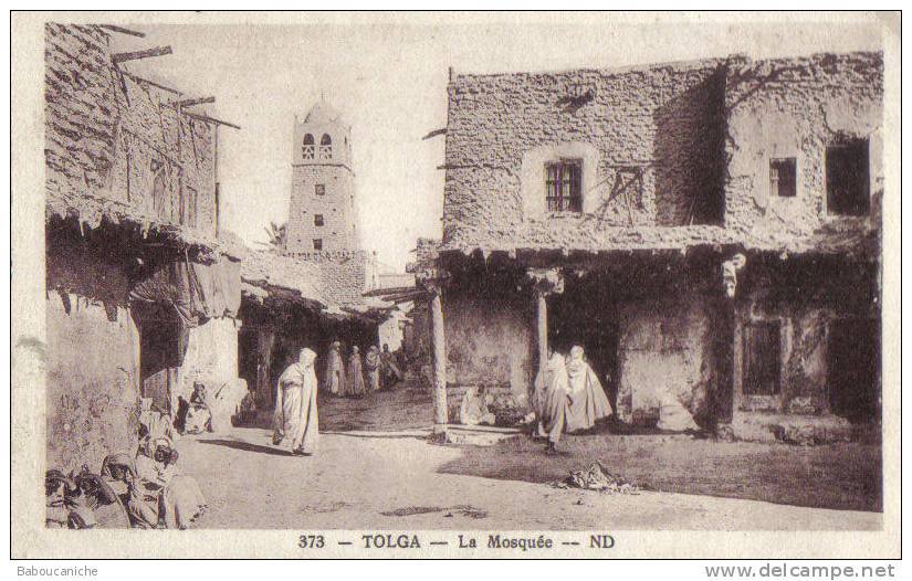 L’Ancienne Mosquée de Tolga : Un Joyau Méconnu des Zibans