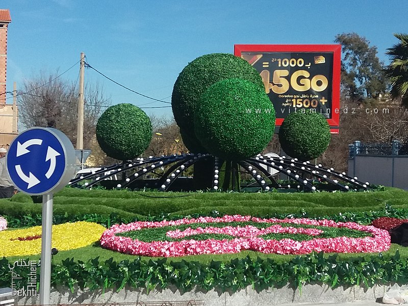 Rond point Bab Wahrane Tlemcen