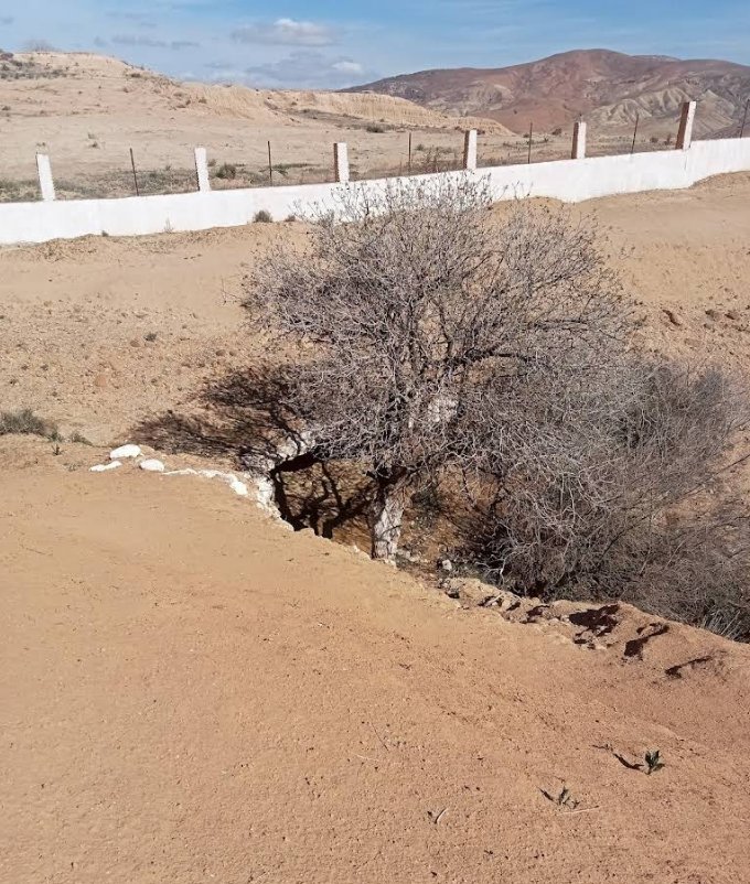 Grotte Sidi Mahiedine à El Guetna (Mascara)