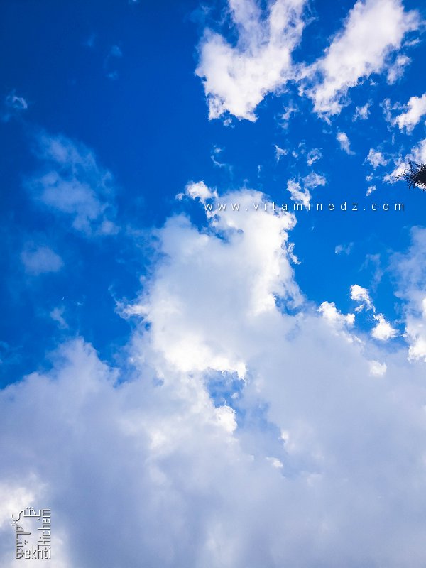 Sous le ciel d’avril — تحت سماء أفريل