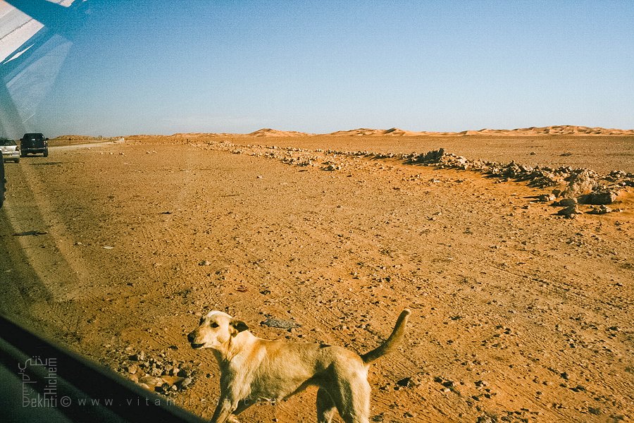 Le gardien du silence