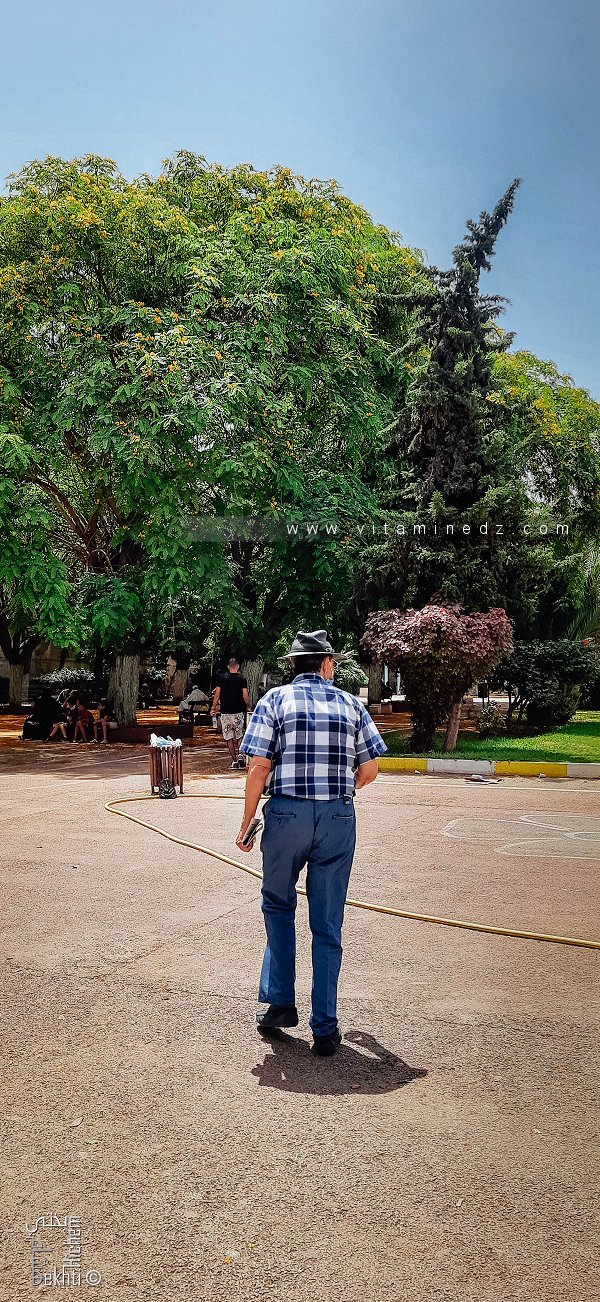 متقاعد في طريقه لقراءة هادئة، حديقة خميستي، وهران Un retraité allant lire son journal en paix