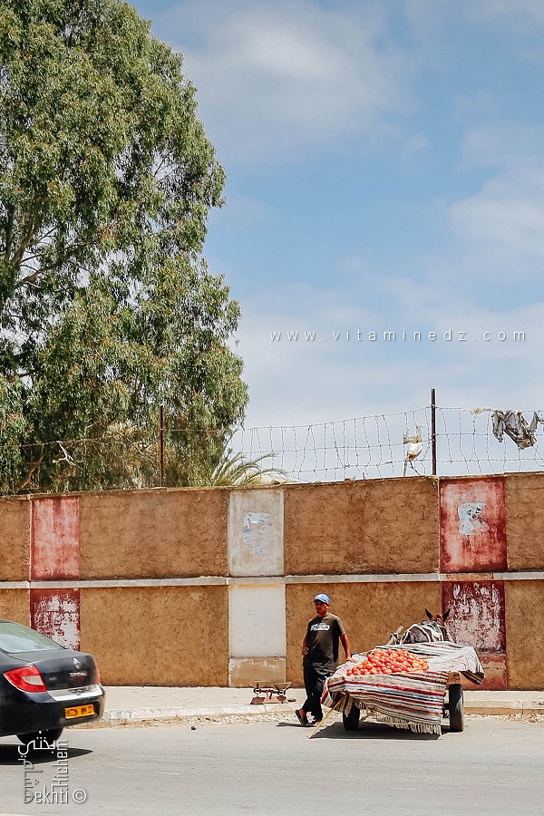 Roues de fortune et parfum de tomates – Le marchand ambulant de Mostaganem